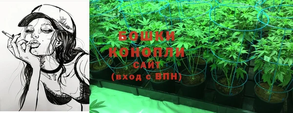 амф Покачи