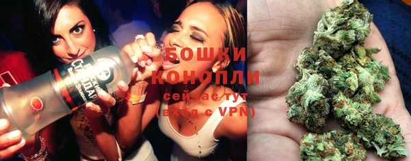 амф Покачи