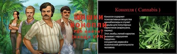 ALPHA PVP Покров