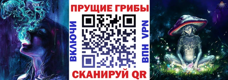 Псилоцибиновые грибы мицелий  Углегорск 